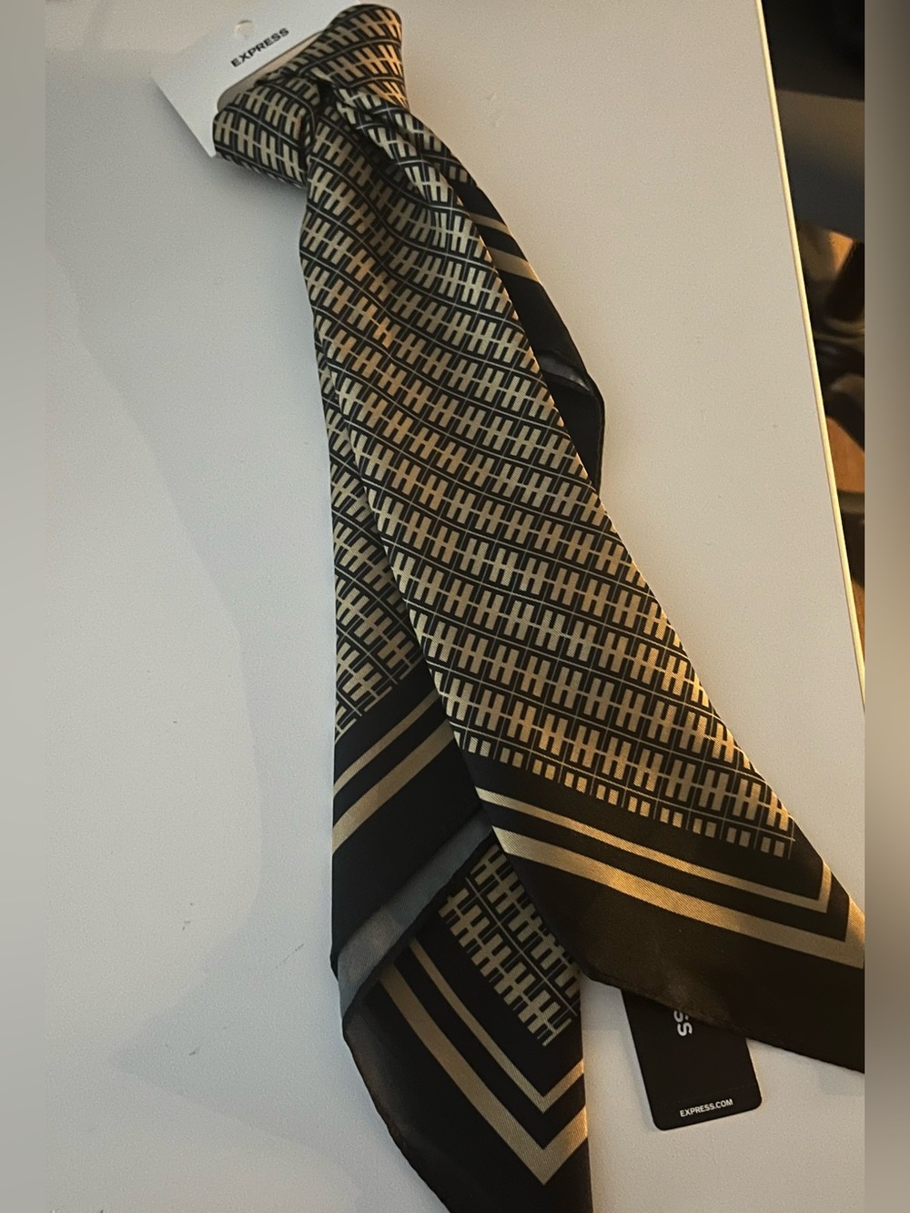 NWT Express Satin Logo Print Scarf